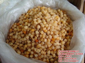 宏鴻農產品集團 引領生鮮蔬菜配送新標準，打造從農田到餐桌的安心橋梁