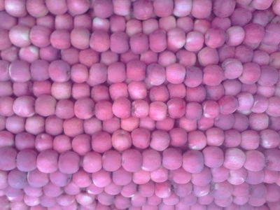 靜寧金色園 源自中國有機(jī)蘋果基地的“三無”臻品