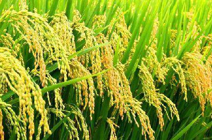 好產(chǎn)品，溯源碼訴說；高品質(zhì)，細(xì)節(jié)中彰顯